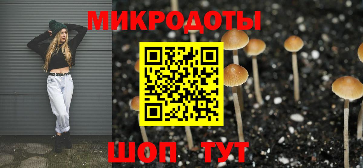 Псилоцибиновые грибы мицелий Мариинск