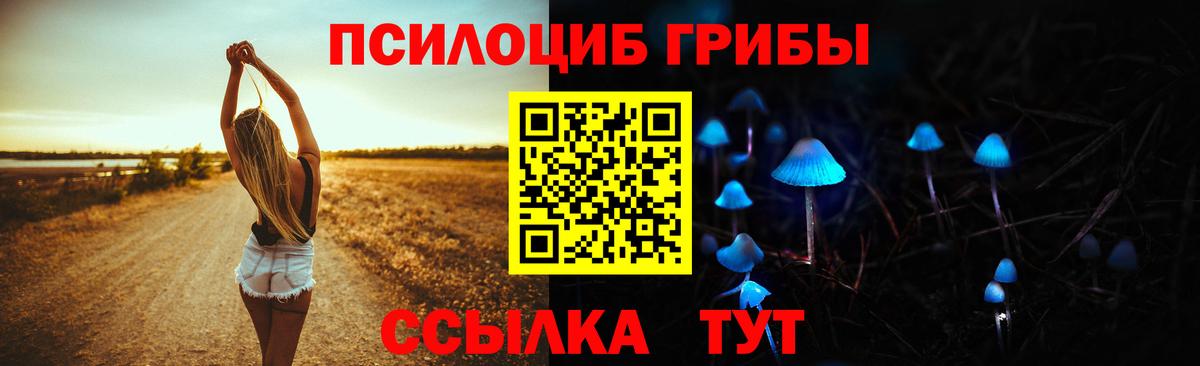Галлюциногенные грибы Cubensis  Вход с VPN  Мариинск 